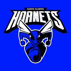 Hornets-Baseball