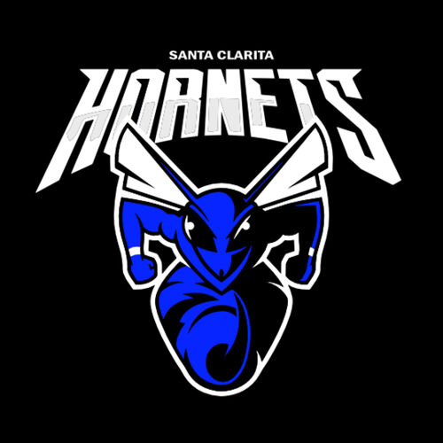 Hornets Baseball Waterproof Sticker Thumbnail